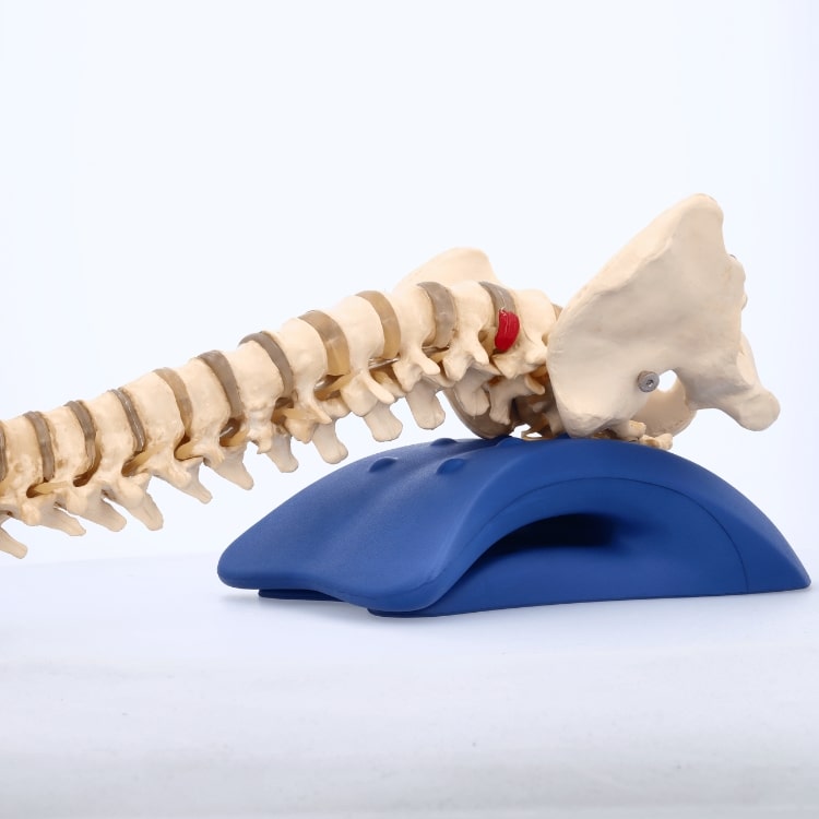 כרית אורטופדית לכאבי גב תחתון והקלת גב תחתון וכאבים בעצם הזנב Back Calm של ספינאלי Spinaly