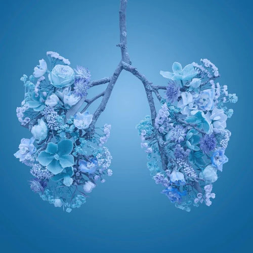 ריאות בצורת עלה נשימה נכונה