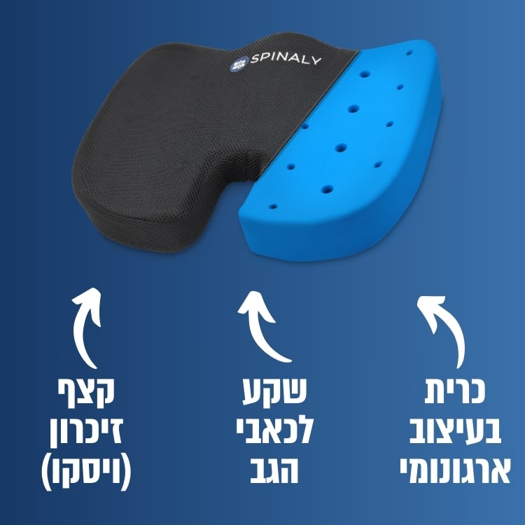 כרית ישיבה