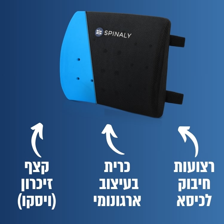 כרית גב