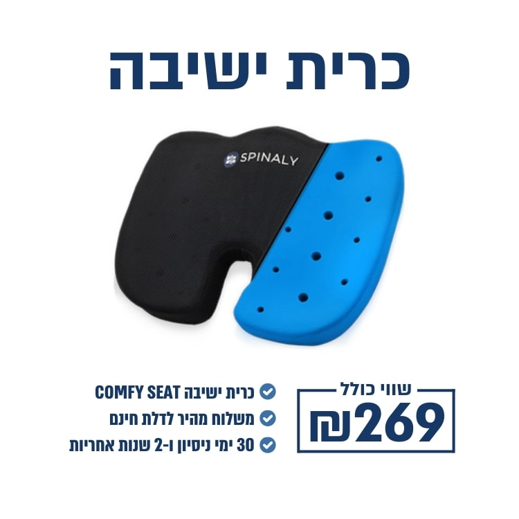 כרית ישיבה