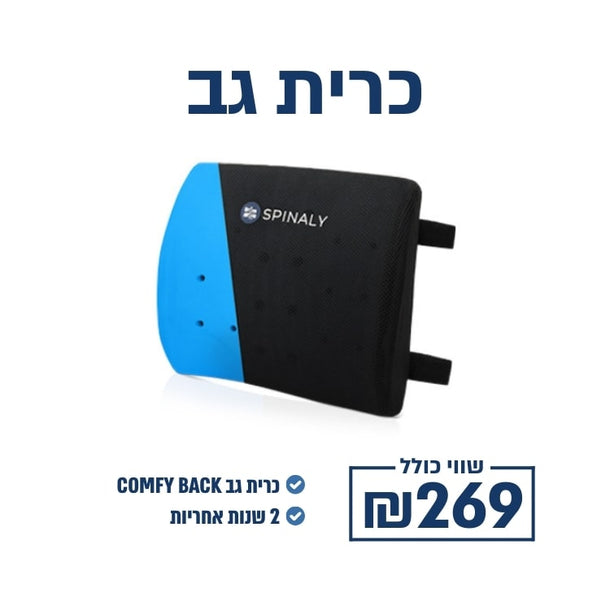 כרית גב