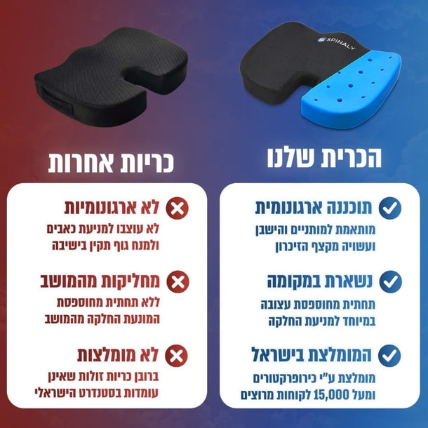 כרית ישיבה