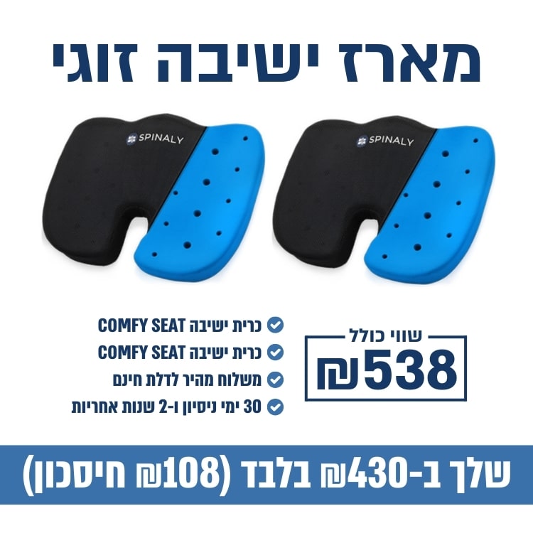 כרית ישיבה