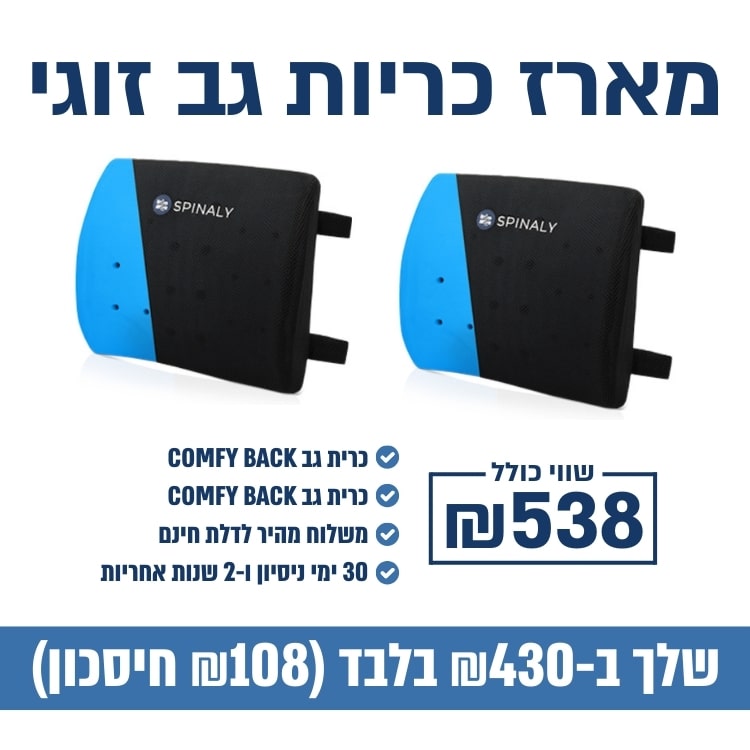 כרית גב