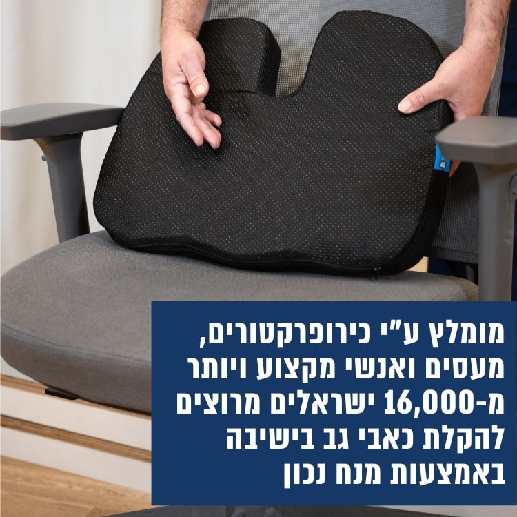 כרית ישיבה