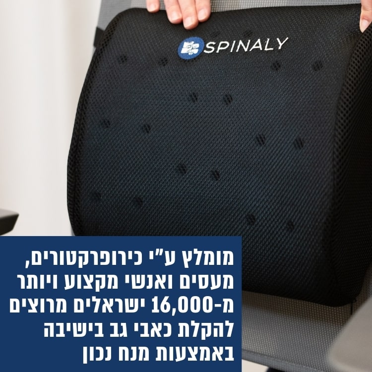 כרית גב