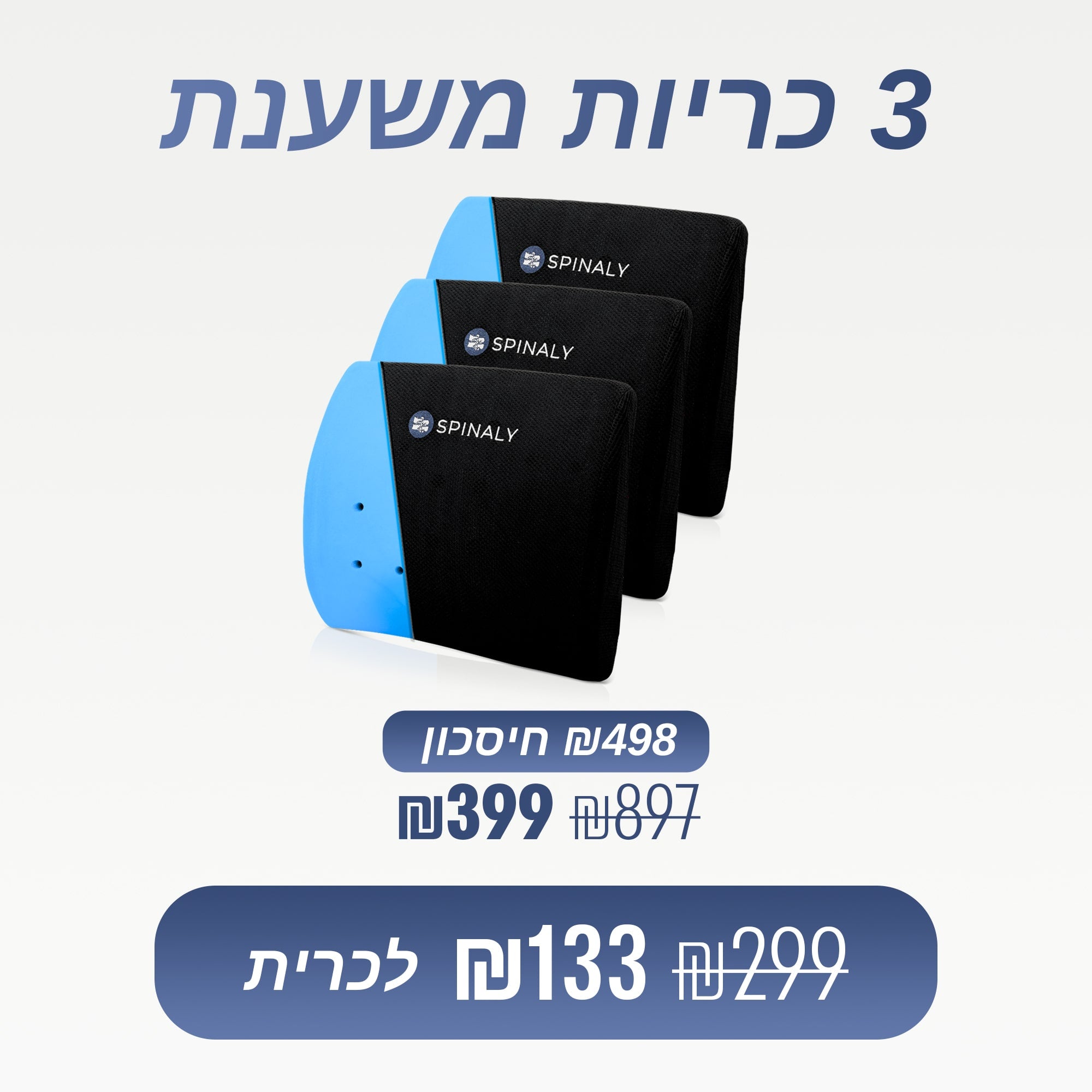 מארז 3 כריות משענת (₪133 לכרית)