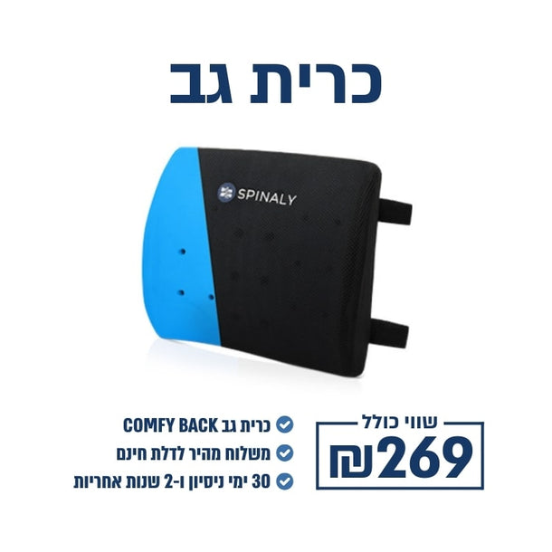 כרית גב