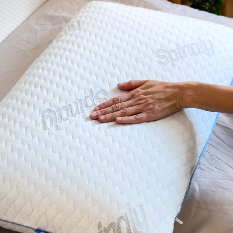 SPHANDS.jpg__PID:0b421fd8-4287-4c1d-bfc1-6018346ccc76